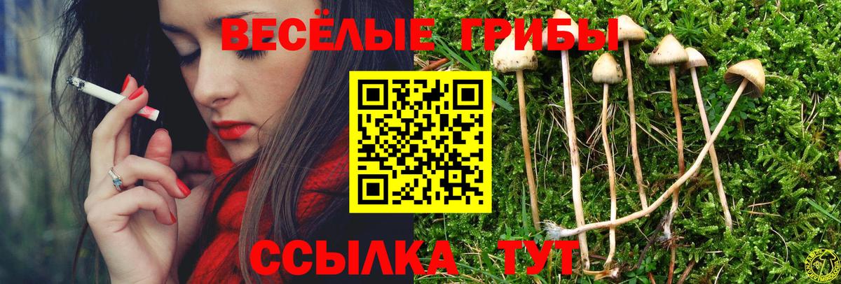 Псилоцибиновые грибы мухоморы Тамбов