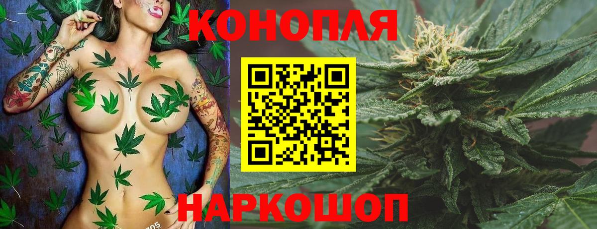 Конопля семена  Конопля ГИДРОПОН  Вход с VPN  Тамбов  Марихуана Bruce Banner 